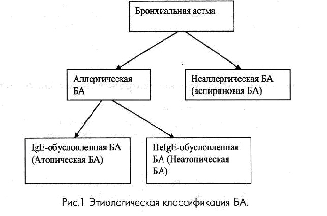 Бронхиальная Астма Патогенез Реферат